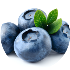 Blueberry