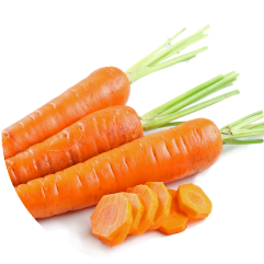 carrot