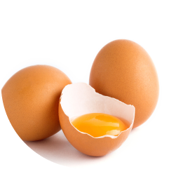 Egg Icon