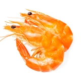 shrimp
