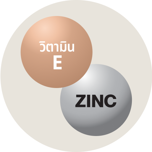 Zinc_Circle