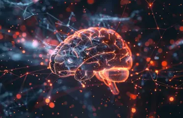 สมองและความทรงจำ