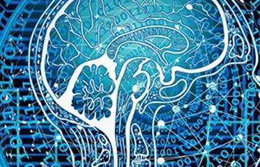 เพิ่มประสิทธิภาพสมองด้วยการดื่มซุปไก่สกัดทุกวัน